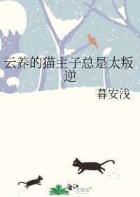 云养猫什么意思