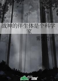 战神伴读