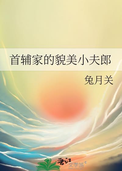首辅家的小夫郎txt