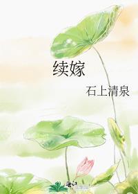 续嫁的大结局