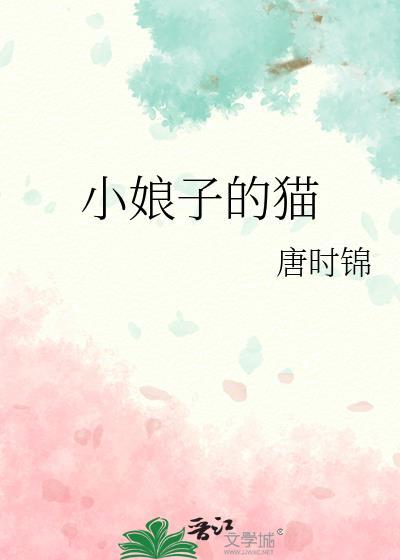 小娘子简介