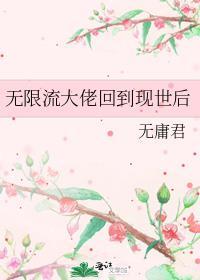 当无限流大佬退休后