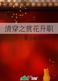 清穿之赏花升职免费全文