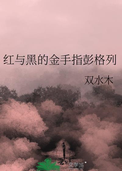 红与黑by
