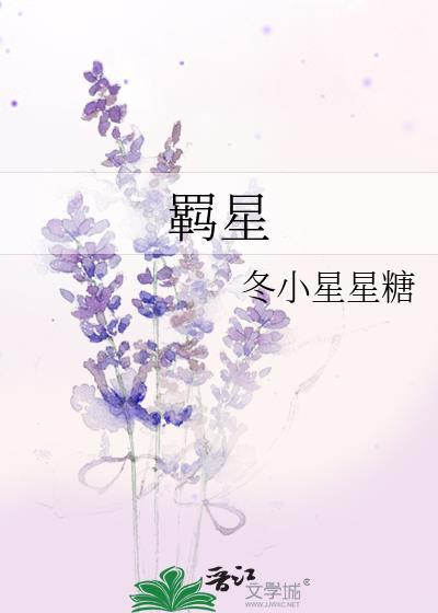 羁星冬小星星糖TXT