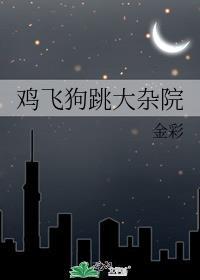 鸡飞狗跳大杂院by金彩