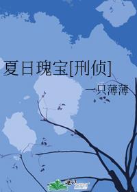 夏日瑰宝刑侦全文免费阅读