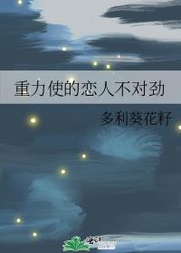 重力gal