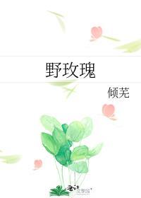 野玫瑰杨旭听