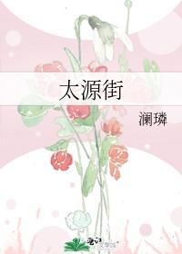 太源街澜璘txt