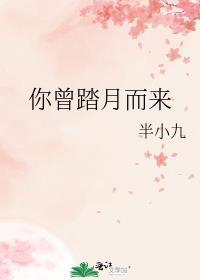 我曾踏月而来只因你在山中怎么回