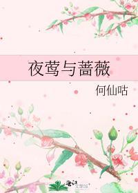 夜莺与蔷薇的启示