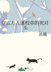 穿成万人迷校草后完结