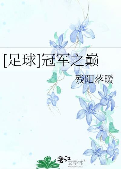 足球冠军之巅残阳落暖txt
