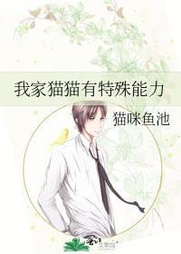 猫有什么能力?