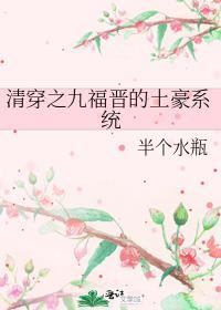 清穿之九福晋日常[历史