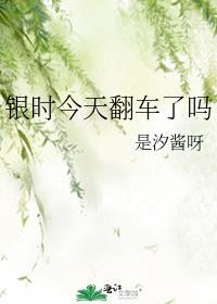 银时今天翻车了吗全文免费阅读