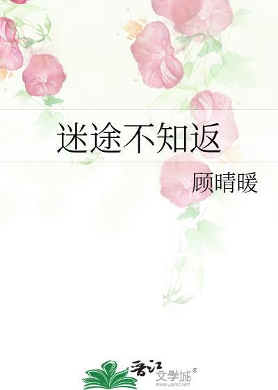 迷途不知返8-哔哩哔哩