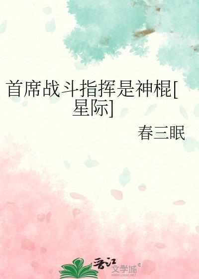 首席战斗团