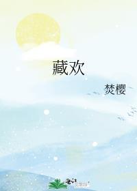 藏欢 作者二恰