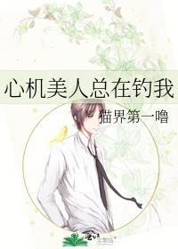心机美人总在钓我讲的什么