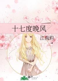17 度