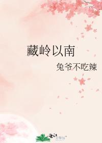 藏岭以南笔趣阁完整版