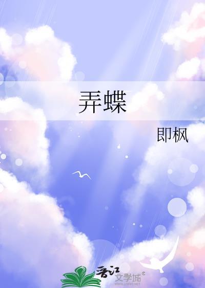 曲纹稻弄蝶