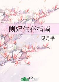 侧妃的重生日常
