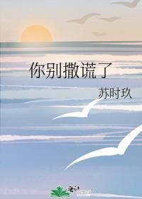 你别撒谎了txt