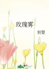 玫瑰雾讲的什么
