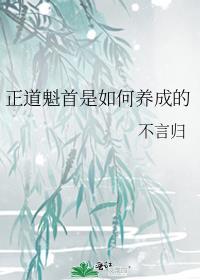 正道魁首是如何养成的讲的什么
