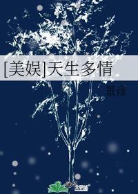 文斗士科技有限公司