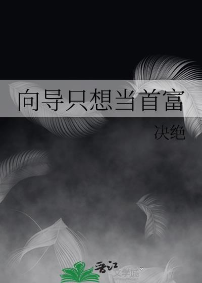 向导只想当首富番外