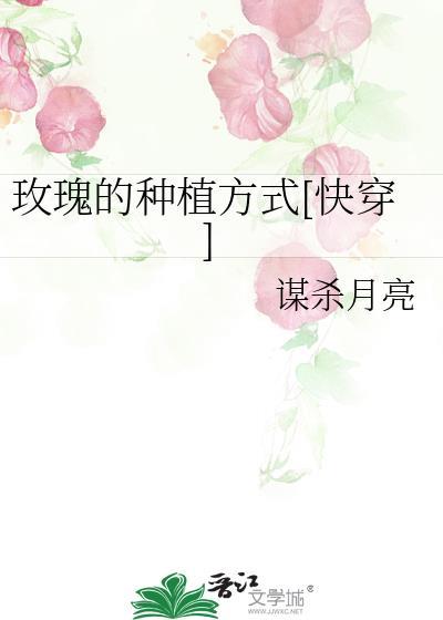 玫瑰是怎样种植的