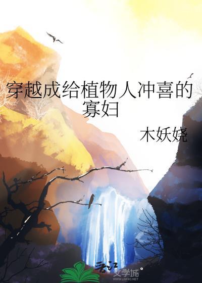 穿越成给植物人冲喜的寡妇by木妖娆