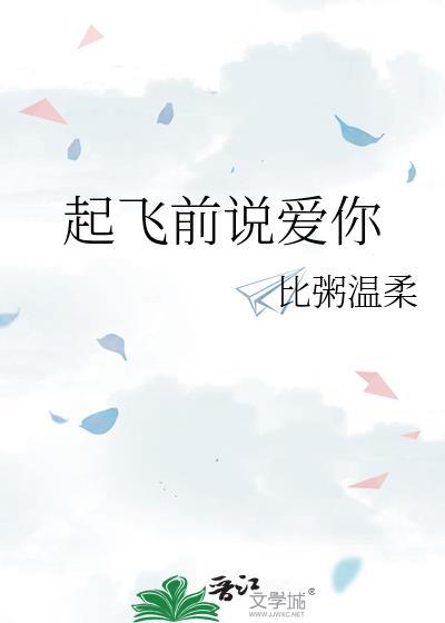 起飞前说爱你晋江