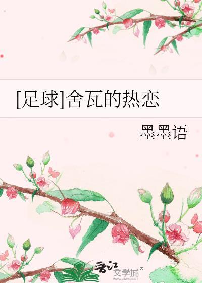 足球舍瓦的热恋百度