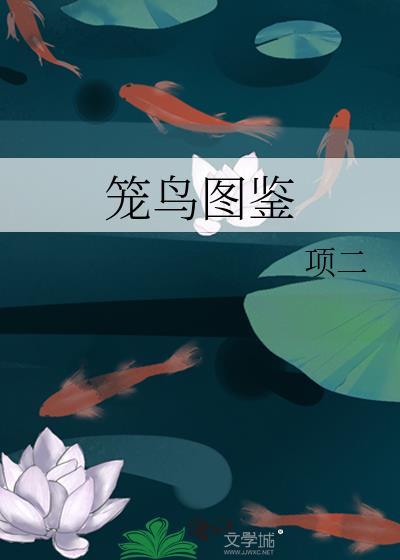 笼鸟图鉴全文无删减在线阅读