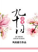九十日春光讲什么