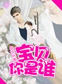 宝贝你是谁提取码