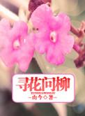 何处寻你下句