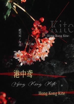 港中鸢全文TXT