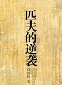 匹夫的逆袭郑佳一的结局