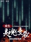灵魂侵袭全文+番外