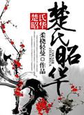 楚昭工贸有限公司