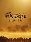 穿越之炮灰在90年代