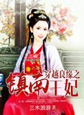 穿越之良缘镇南王妃