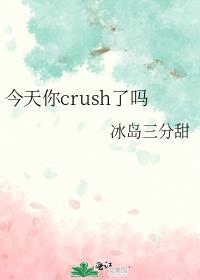 今天你crush了吗TXT