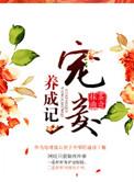 宠妾养成记 抹茶曲奇讲的是什么